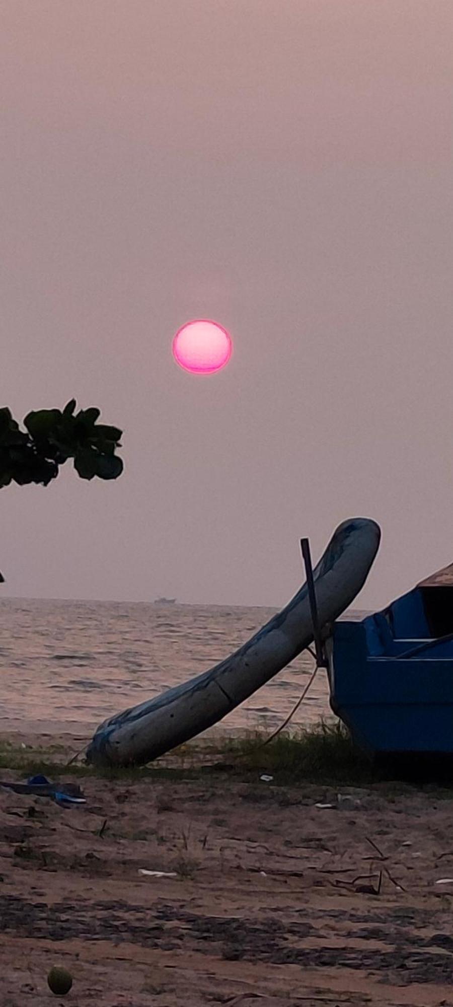 Marari Blue Whale Beach House Alappuzha Exteriör bild
